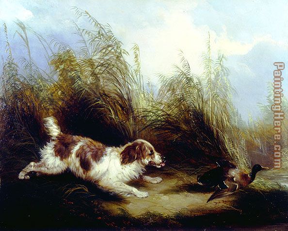 Spaniel Flushing Mallard painting - George Armfield Spaniel Flushing Mallard art painting